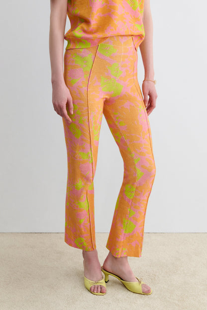 Arada Pant Orange Obscura